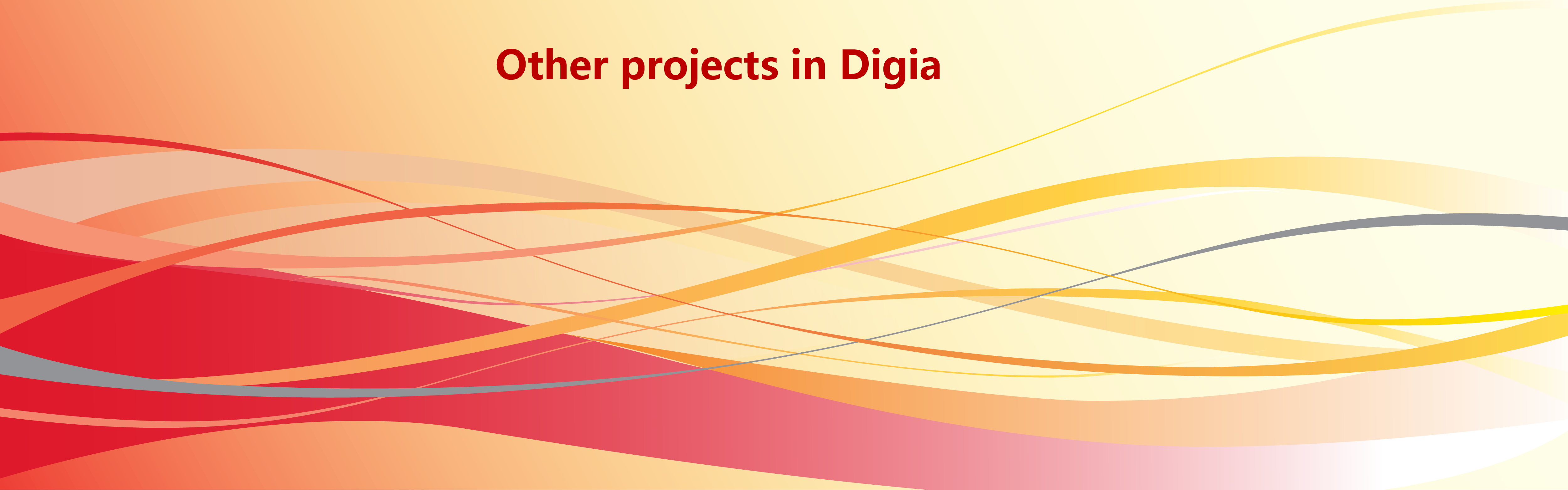 details_digia_others-01.png